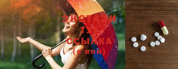 индика Осташков