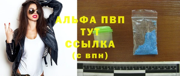 индика Осташков
