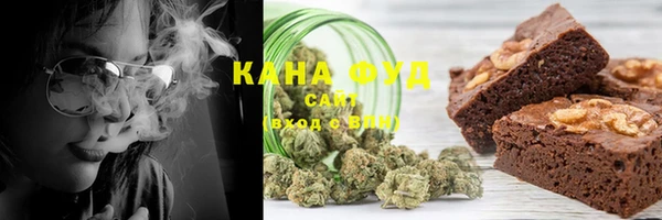 индика Осташков
