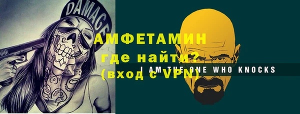 индика Осташков