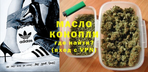 индика Осташков