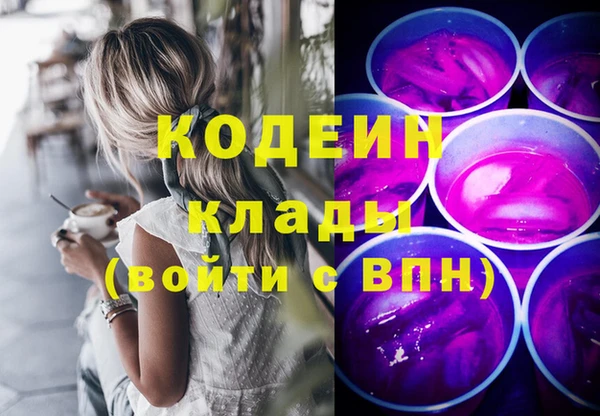 индика Осташков