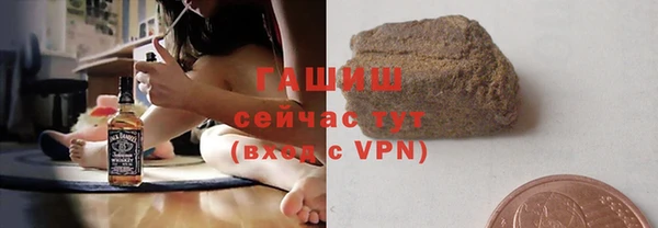 индика Осташков