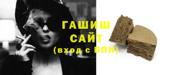индика Осташков
