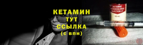 индика Осташков