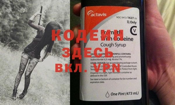 индика Осташков