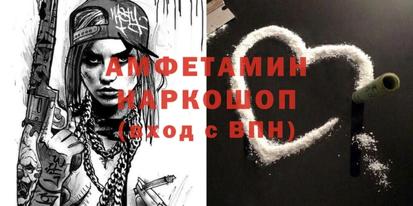 индика Осташков