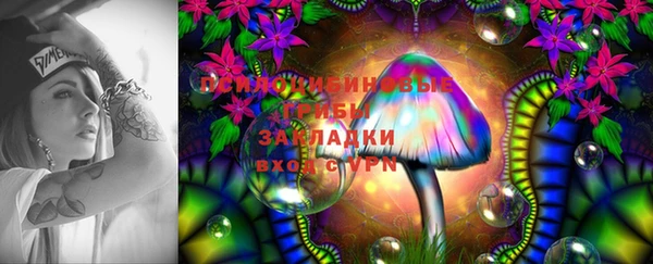 марки lsd Осинники