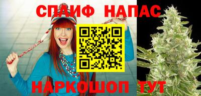a pvp Гусиноозёрск