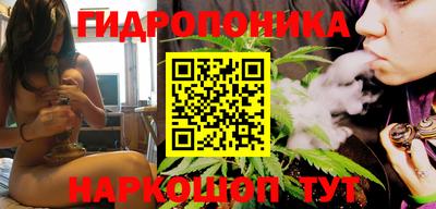 гидропоника Гусев
