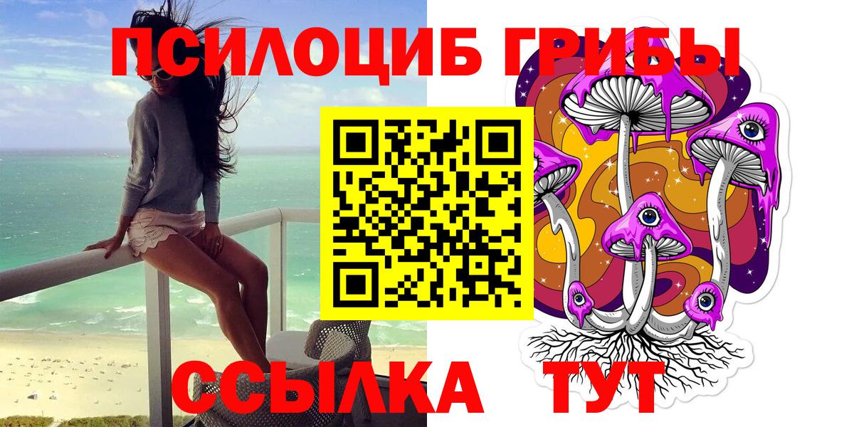 Псилоцибиновые грибы Psilocybine cubensis  Галлюциногенные грибы GOLDEN TEACHER  Зеленокумск 